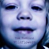 Wildflowers - Tom Eastland
