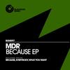 Because (Original Mix) - MDR