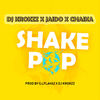 Shake Pop (Explicit) - DJ Krokzz&Jaido&Chaika&Illflavaz