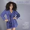 Say What You Want (Electro Remix) - Shaka Lish
