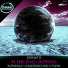 In The End (Underground Utopia Remix) - DRKWTR&Underground Utopia