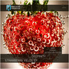 Strawberry Yields (Derk Remix) - Deepinity&Derk