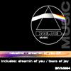 Dreamin Of You (Original Mix) - Novaline