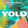 YOLO (feat. BeeGodd & Genique) (其他) - Indigo General&BeeGodd&Genique