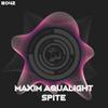 Spite (Extended Mix) - Maxim Aqualight