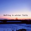 Walking in winter fields - Sayess