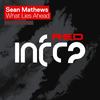 What Lies Ahead (Radio Edit) - Sean Mathews