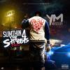Everyday(feat. Hogg Booma & Radaman) (Explicit) - YM Mystery&Hogg Booma&Radaman