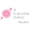 A beautiful flower - Mey&Juan