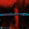 Back - Quintin Kelly