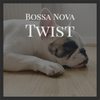 Bossa Nova Twist - Dan LaCob