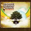 In The Queue - J Boogie's Dubtronic Science