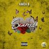 Scarred(feat. KaKea B) (Explicit) - Tribe&KaKea B