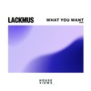 What You Want - Lackmus