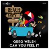 Can You Feel It (Original Mix) - Greg Welsh