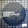 Introvert / Extrovert 2012 (Rayner & Wisqo Remix) - David Murtagh&Rayner&Wisqo