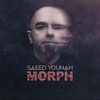 Buddhi (Radio Edit) - Saeed Younan&The Deepart Project