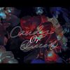 Candy or Queen - 溱桑