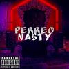 Perreo Nasty(feat. Drakomafia, Lian Liancito, Juliano chieff & Jeyma glock) (Explicit) - Aaron24_7&Drakomafia&Lian Liancito&Juliano Chieff&Jeyma glock