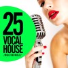 Bring Me Joy (Joe Lukketti Remix) - Domenico Albanese&D'Layna&Joe Lukketti