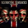Smack My Pitch Up (Original Mix) - Destructive Tendencies