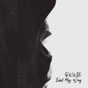 Find My Way - Guuse