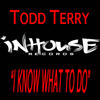 I Know What To Do (T DUB) - Todd Terry