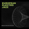 If the Sky Would Have Fallen (Elektro) - Crima