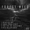 Crop Circles (2016 Live Mix) - Forest Weed