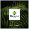 Lose Control (Original Mix) - Joca (BR)&Luskaka