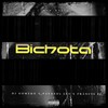 Bichota (Explicit) - PAYASO X LEY&Francis Pi&Dj Gomeko