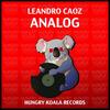 Analog (Original Mix) - Leandro Caoz