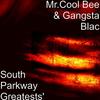 So Fly(feat. Brian Keith) (Explicit) - Mr.Cool Bee&Gangsta Blac&Brian Keith