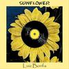 Saudade Vem Correndo - Luiz Bonfá