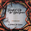 Knockin' On Heavens Door - Pickin' On Series&Bob Dylan