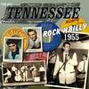 I Feel The Blues Comin' On - Hayden Thompson