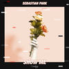 Show Me (Extended Mix) - Sebastian Park