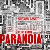 Paranoia (Vocal Radio Edit) - Nils Van Zandt&Jay Martin