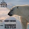 Silver Haze (Original Mix) - Danny Fontana