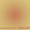 Thermogenesis Raincloud - Danie Shler