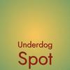 Underdog Spot - Shiran Abdell