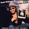 Tennessee - Hank Williams JR.