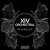 Tranquillity - XIV Orchestral