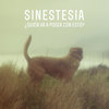 Más Madera - Sinestesia