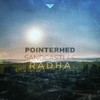 Sand Castles - Pointerhed&Radha