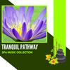 The Purifying Aura (Original Mix) - Daniel Markston