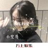 明明很努力但还是很糟糕 (DJ版) - 小雯哥