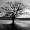 Dance Out (Original Mix) - Duologic