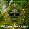 Brazindia - ChakraView&Cosmic Brahma&Buckle