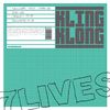 Seven Lives - Namito&Martin Eyerer&Stephan Hinz